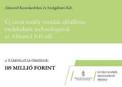 2019-1.1.1-PIACI-KFI-2019-00125 – Új cirok szülői vonalak és hibridek előállítása